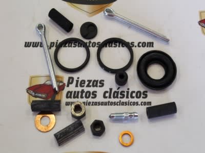 Kit Reparación Completo Pinza Trasera De Freno Renault 8, 10, Alpine A110, Floride y Caravelle