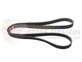 Correa trapecial poli V 6K1635/1637 Renault, Ford, BMW, Audi, Opel OEM: 7700860463
